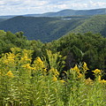 Eastern Summit 4