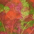 Flower Power 
