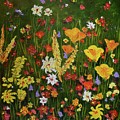  Wildflower Garden